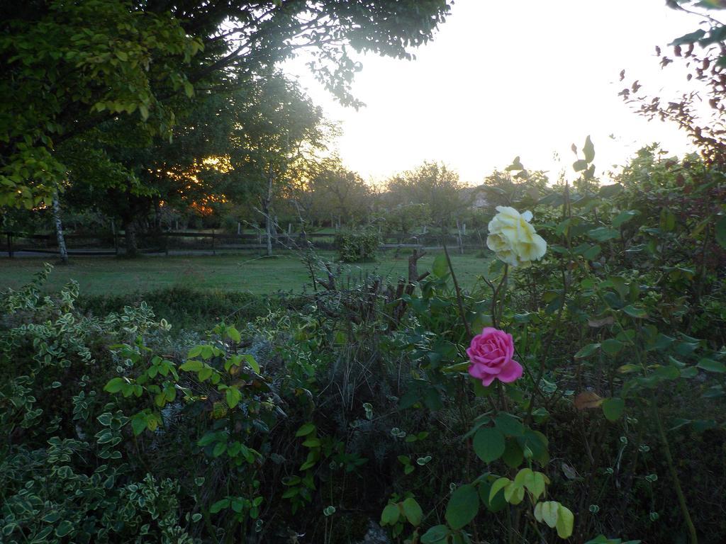 La Lunaire Bed & Breakfast Verteillac Exterior photo